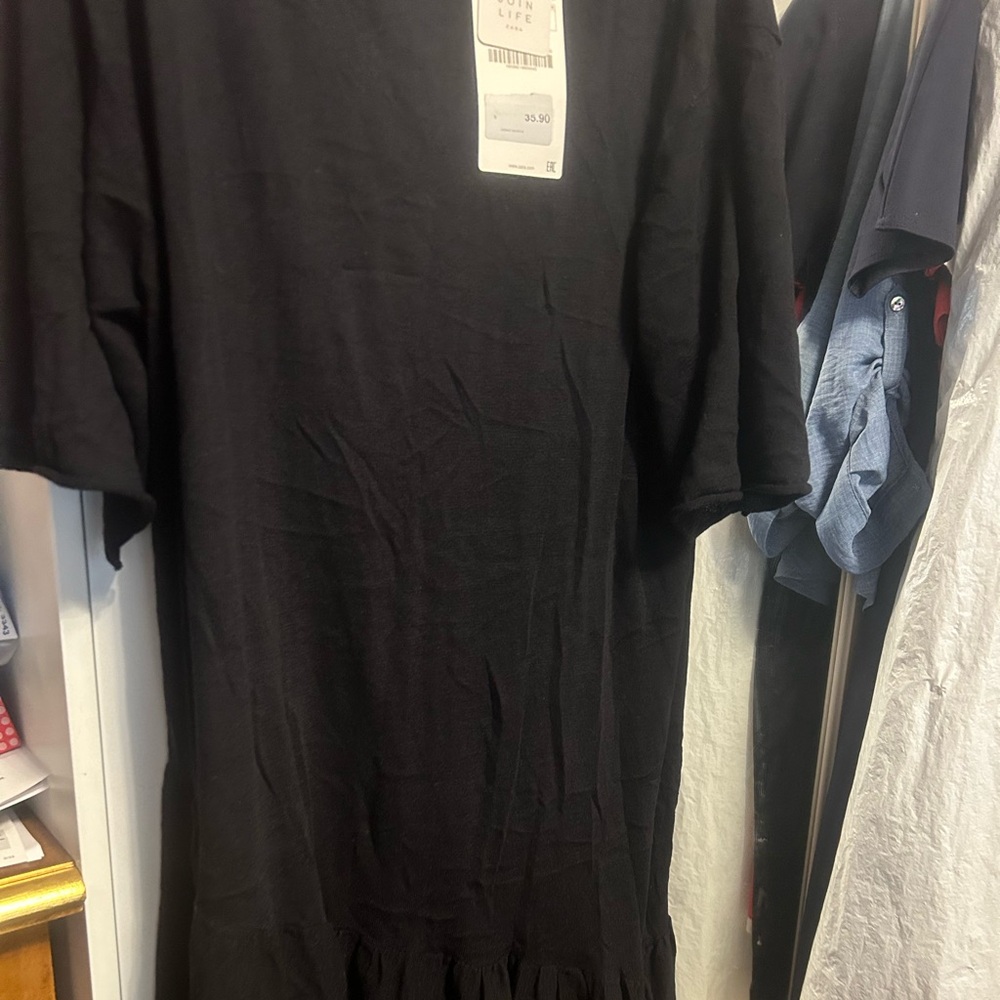 Zara dress